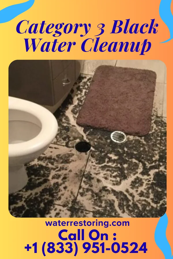 Category 3 Black Water Cleanup in Langhorne, PA