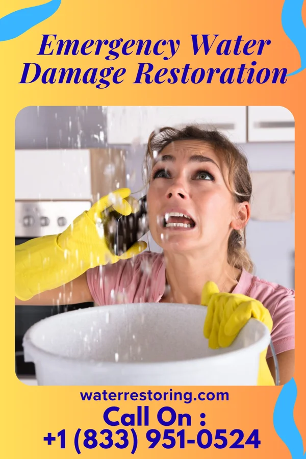Emergency Water Damage Restoration in Langhorne, PA