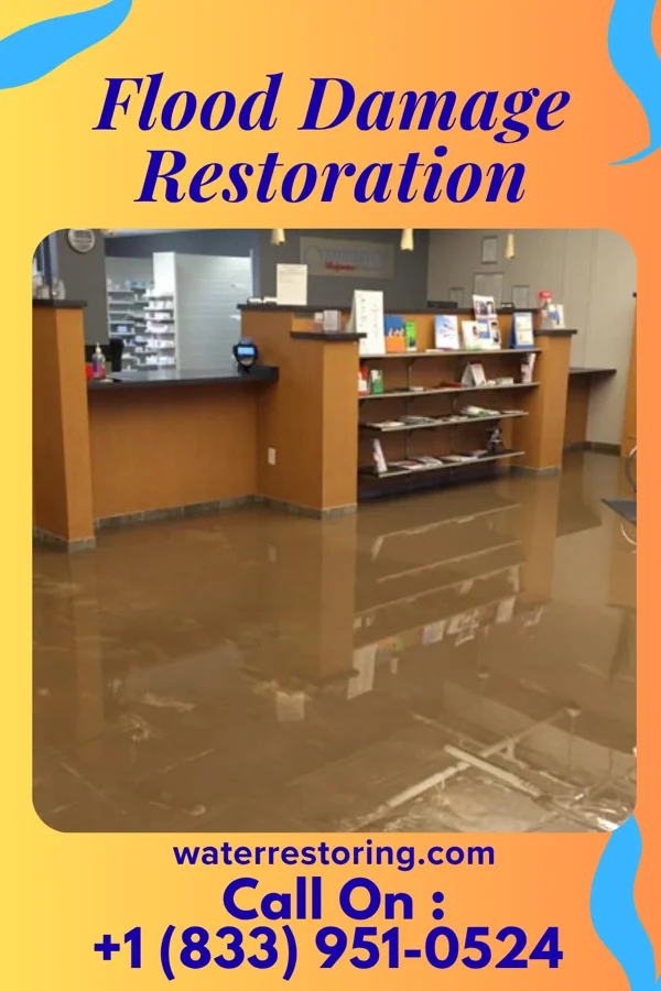 Flood Damage Restoration in Langhorne, PA