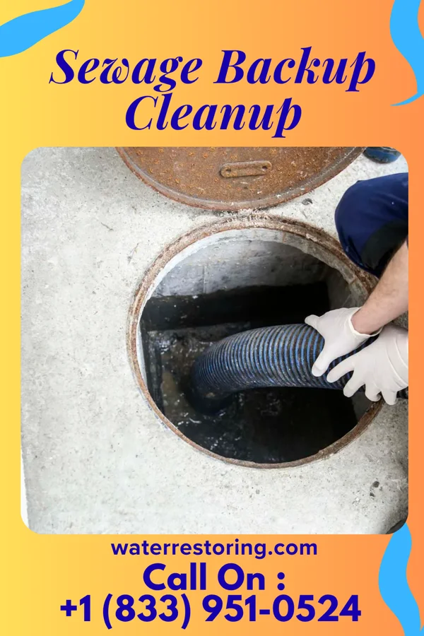 Sewage Backup Cleanup in Langhorne, PA